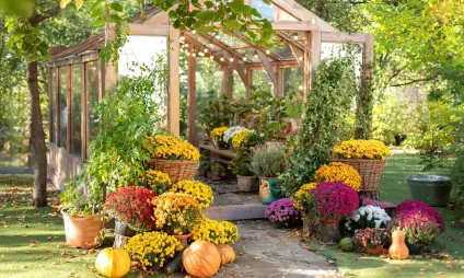 Le Jardin Debaine Fleuriste A Linards En Haute Vienne Plantes Dinterieur Et Dexterieur